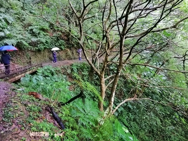 IMG_20181230_121748.jpg IMG_20181230_121748.jpg