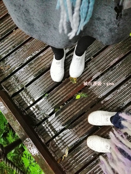 IMG_20181230_121819.jpg IMG_20181230_121819.jpg