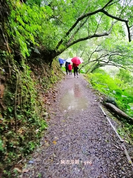 IMG_20181230_121831.jpg IMG_20181230_121831.jpg