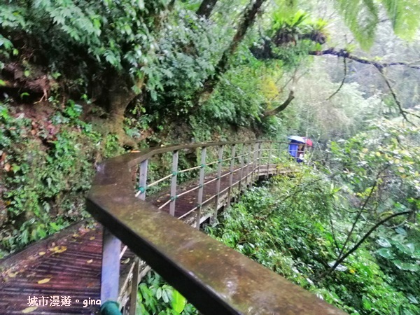 IMG_20181230_122233.jpg IMG_20181230_122233.jpg