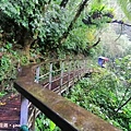 IMG_20181230_122233.jpg