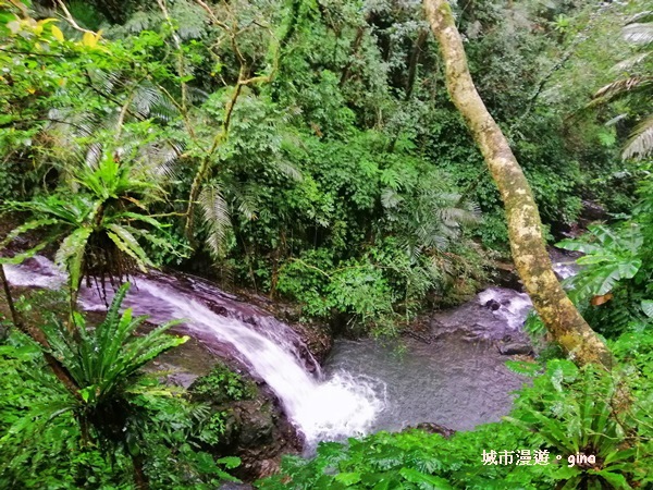 IMG_20181230_122248.jpg IMG_20181230_122248.jpg