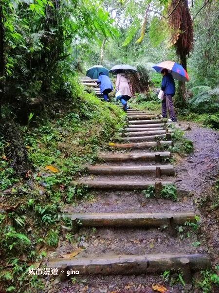 IMG_20181230_122311.jpg IMG_20181230_122311.jpg