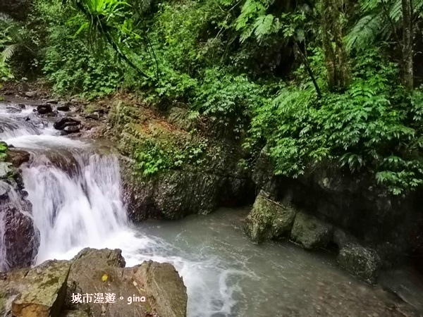 IMG_20181230_122820.jpg IMG_20181230_122820.jpg