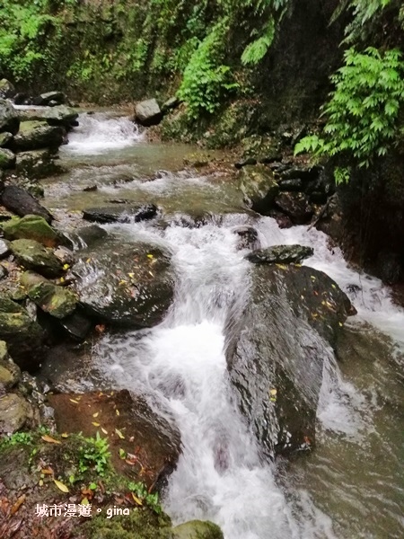 IMG_20181230_123042.jpg IMG_20181230_123042.jpg