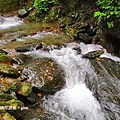 IMG_20181230_123427.jpg