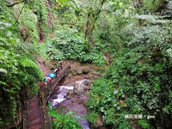 IMG_20181230_124425.jpg IMG_20181230_124425.jpg