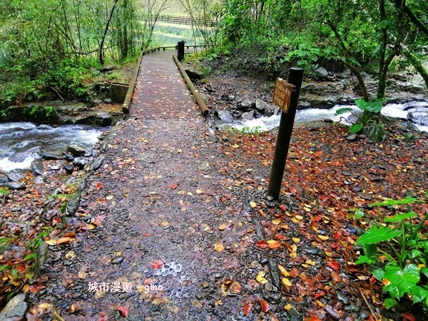 IMG_20181230_125031.jpg IMG_20181230_125031.jpg