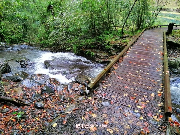 IMG_20181230_125037.jpg IMG_20181230_125037.jpg