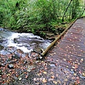 IMG_20181230_125037.jpg