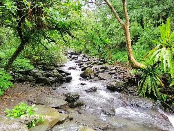 IMG_20181230_125234.jpg IMG_20181230_125234.jpg