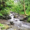 IMG_20181230_125234.jpg