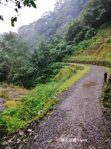 IMG_20181230_125258.jpg IMG_20181230_125258.jpg