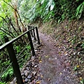 IMG_20181230_125406.jpg