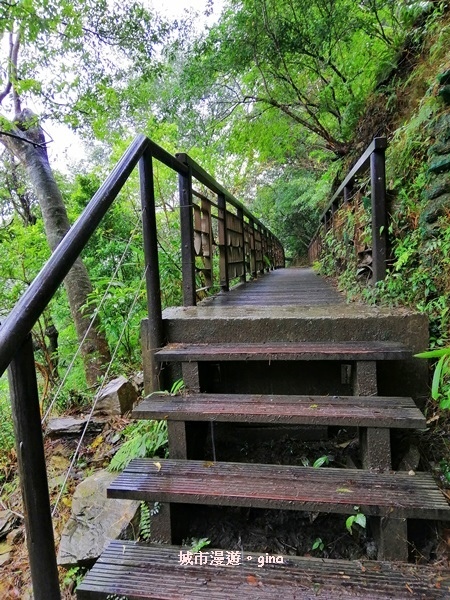 IMG_20181230_130436.jpg IMG_20181230_130436.jpg