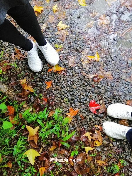 IMG_20181230_130831.jpg IMG_20181230_130831.jpg