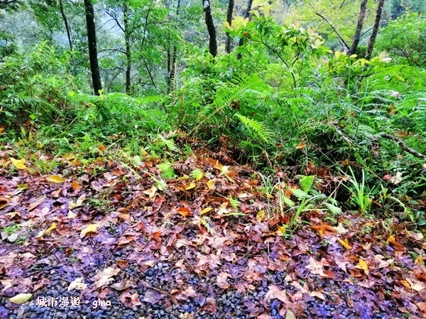 IMG_20181230_130905.jpg IMG_20181230_130905.jpg