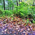IMG_20181230_130905.jpg