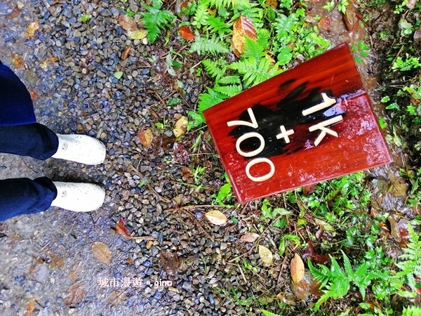 IMG_20181230_131144.jpg IMG_20181230_131144.jpg