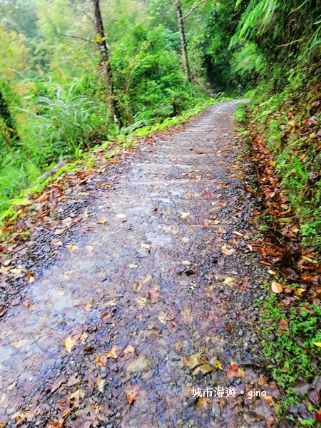 IMG_20181230_130917.jpg IMG_20181230_130917.jpg