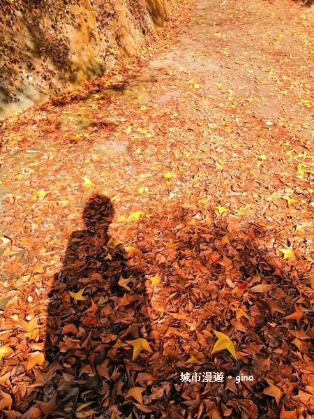 IMG_20190106_085224.jpg IMG_20190106_085224.jpg