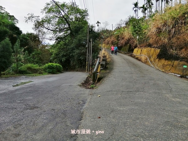 IMG_20190106_092143.jpg IMG_20190106_092143.jpg