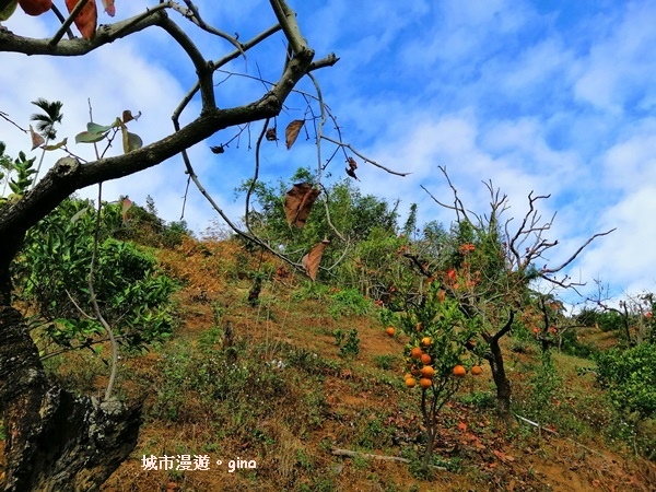 IMG_20190106_092533.jpg IMG_20190106_092533.jpg