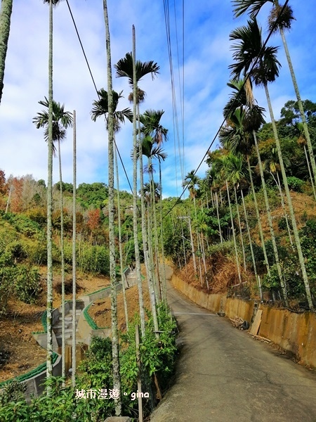 IMG_20190106_092752.jpg IMG_20190106_092752.jpg