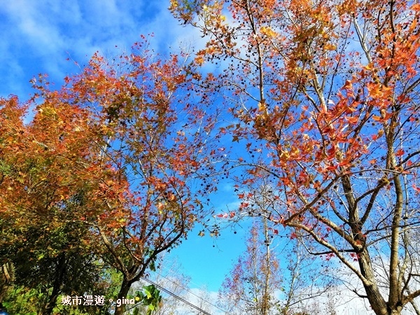 IMG_20190106_093533.jpg IMG_20190106_093533.jpg