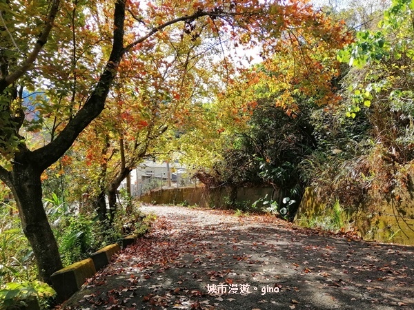 IMG_20190106_093958.jpg IMG_20190106_093958.jpg