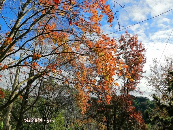 IMG_20190106_094142.jpg IMG_20190106_094142.jpg