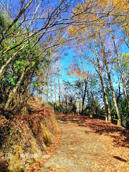 IMG_20190106_094300.jpg IMG_20190106_094300.jpg