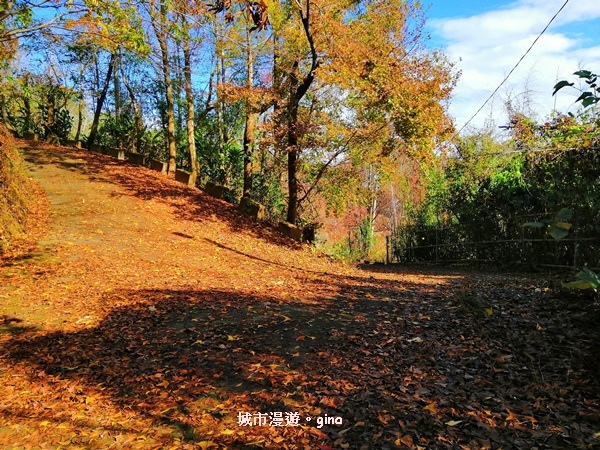 IMG_20190106_094347.jpg IMG_20190106_094347.jpg