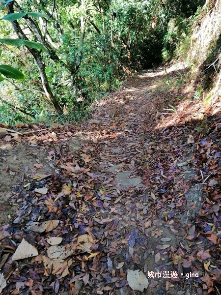 IMG_20190106_094406.jpg IMG_20190106_094406.jpg