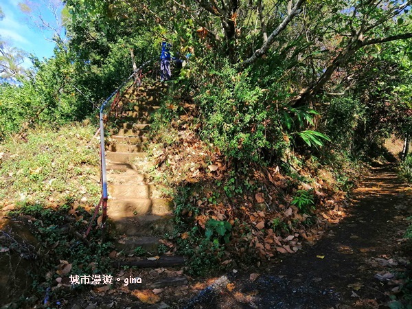 IMG_20190106_094723.jpg IMG_20190106_094723.jpg