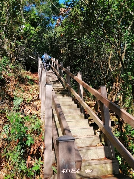 IMG_20190106_095336.jpg IMG_20190106_095336.jpg