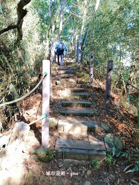 IMG_20190106_095739.jpg IMG_20190106_095739.jpg