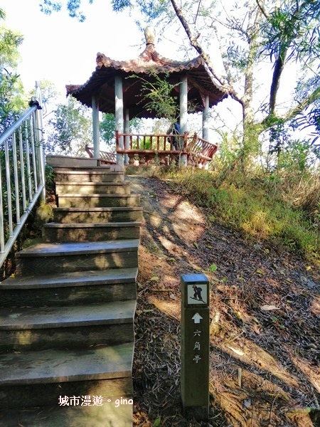 IMG_20190106_100722.jpg IMG_20190106_100722.jpg