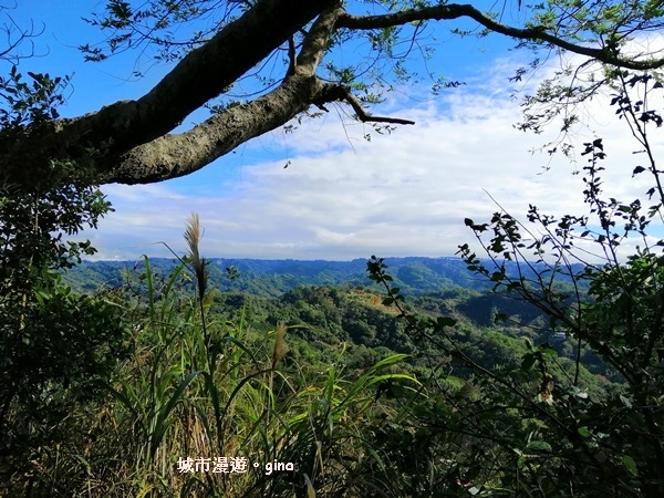 IMG_20190106_101201.jpg IMG_20190106_101201.jpg