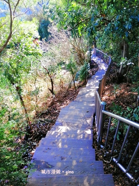 IMG_20190106_101415.jpg IMG_20190106_101415.jpg