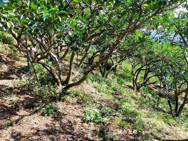 IMG_20190106_101727.jpg IMG_20190106_101727.jpg