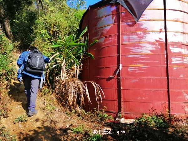 IMG_20190106_101758.jpg IMG_20190106_101758.jpg