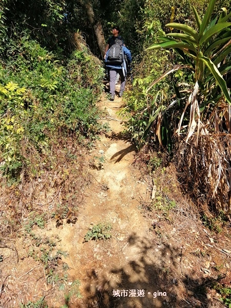 IMG_20190106_101804.jpg IMG_20190106_101804.jpg