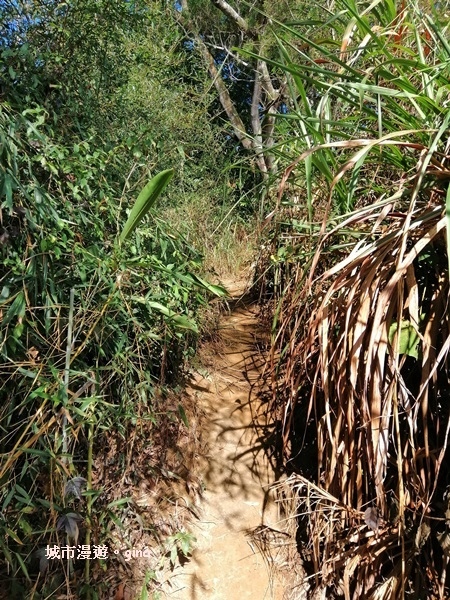 IMG_20190106_101856.jpg IMG_20190106_101856.jpg