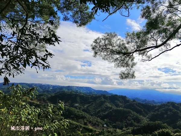 IMG_20190106_101956.jpg IMG_20190106_101956.jpg