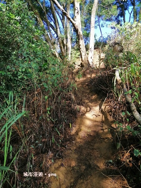 IMG_20190106_101959.jpg IMG_20190106_101959.jpg