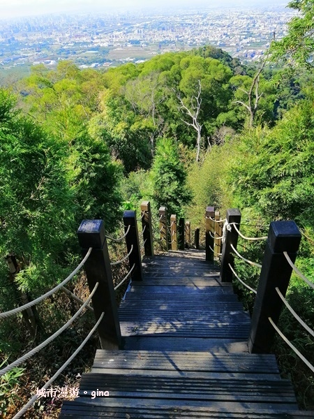 IMG_20190106_110440.jpg IMG_20190106_110440.jpg