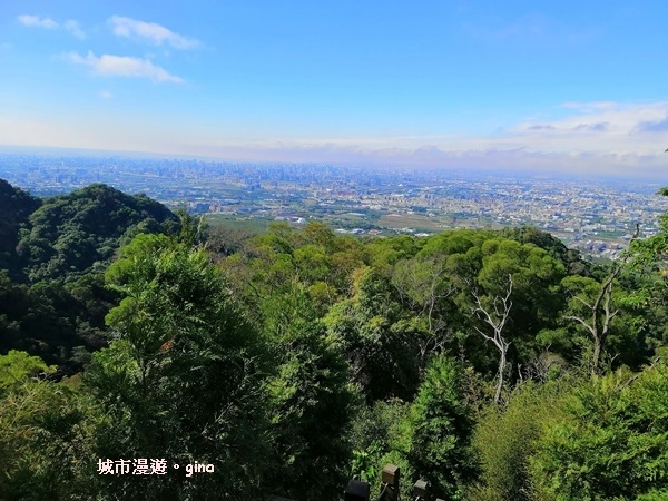 IMG_20190106_110443.jpg IMG_20190106_110443.jpg