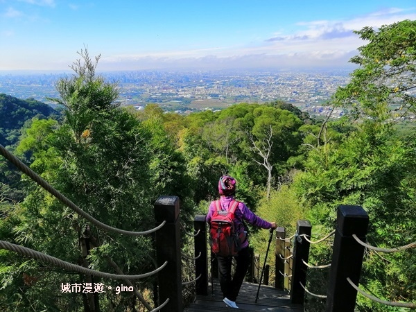 IMG_20190106_110516.jpg IMG_20190106_110516.jpg