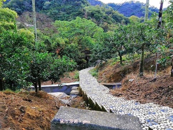 IMG_20190106_113724.jpg IMG_20190106_113724.jpg